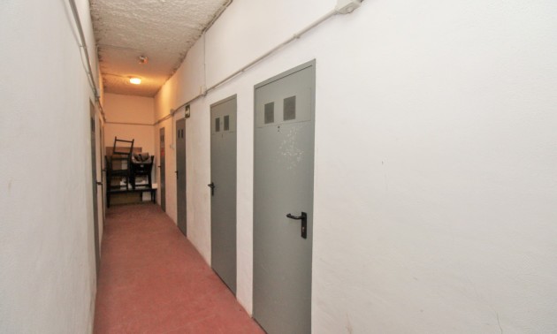 Revente - Apartment - Punta Prima