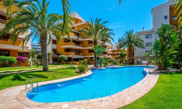 Revente - Apartment - Punta Prima