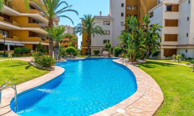 Revente - Apartment - Punta Prima