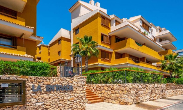 Revente - Apartment - Punta Prima