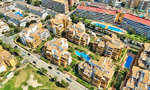 Revente - Apartment - Punta Prima