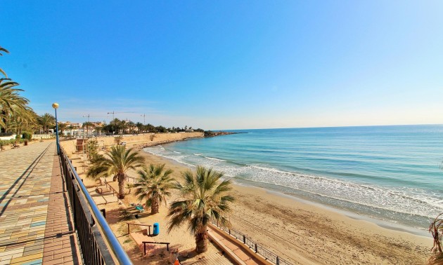 Revente - Apartment - Punta Prima