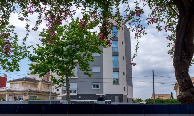 Revente - Apartment - Torrevieja