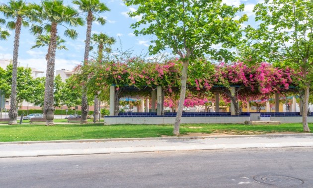 Revente - Apartment - Torrevieja