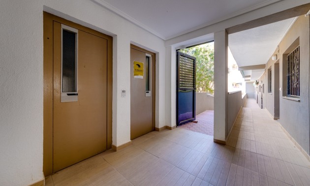 Herverkoop - Apartment - Guardamar del Segura - Pinomar