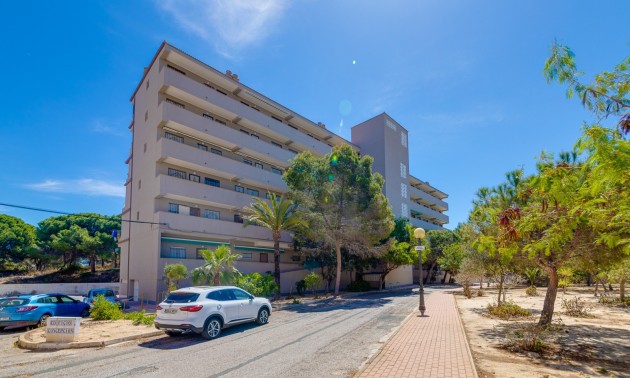 Herverkoop - Apartment - Guardamar del Segura - Pinomar