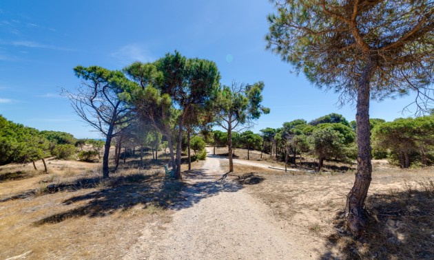 Herverkoop - Apartment - Guardamar del Segura - Pinomar