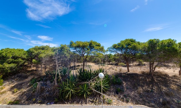 Herverkoop - Apartment - Guardamar del Segura - Pinomar