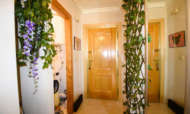 Resale - Apartment - Guardamar del Segura - Campomar