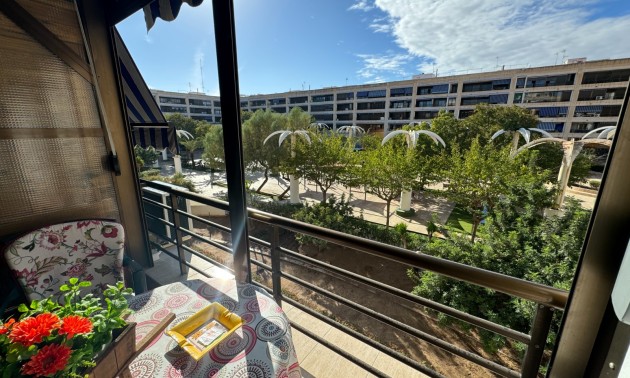 Revente - Apartment - Guardamar del Segura