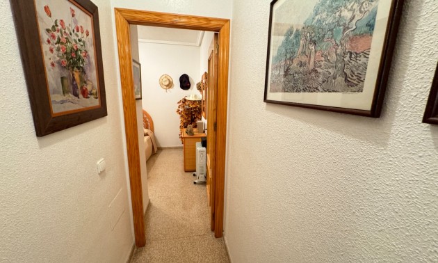 Revente - Apartment - Guardamar del Segura