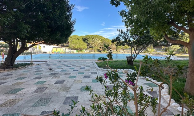 Herverkoop - Apartment - Guardamar del Segura - Pinomar