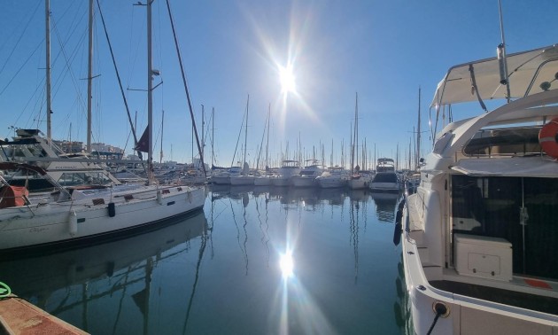 Herverkoop - Apartment - Torrevieja - La Veleta