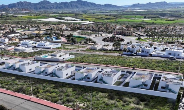 New Build - detached - Mazarrón