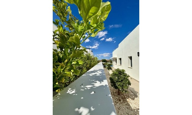 Nieuwbouw Woningen - detached - Benijofar