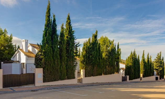 Nieuwbouw Woningen - terraced - Fuente Alamo
