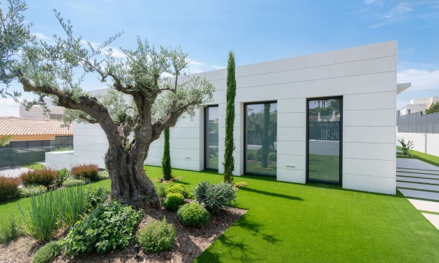 Nouvelle construction - detached - Molina de Segura