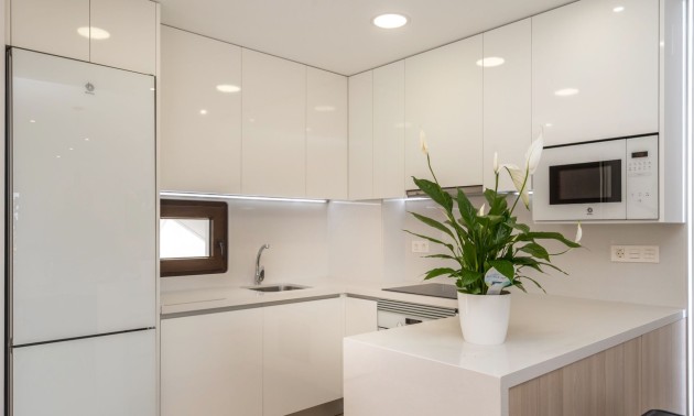 Nouvelle construction - high-bungalow - Finestrat