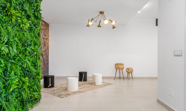 New Build - detached - Playa Paraiso