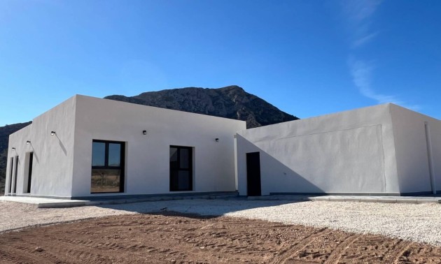 Nouvelle construction - detached - Cañada de la Leña