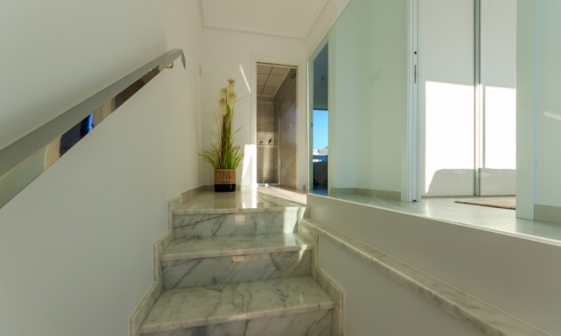 Nouvelle construction - terraced - Pilar de la Horadada