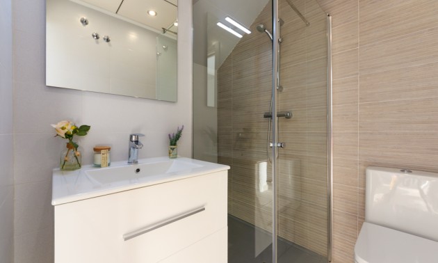 Nouvelle construction - terraced - Pilar de la Horadada