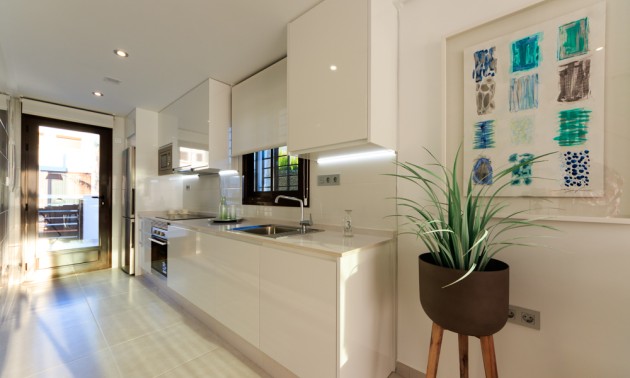 Nouvelle construction - terraced - Pilar de la Horadada