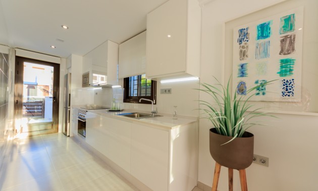 Nouvelle construction - terraced - Pilar de la Horadada