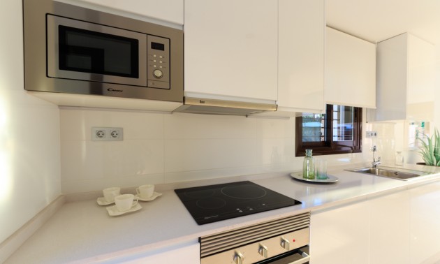 Nouvelle construction - terraced - Pilar de la Horadada