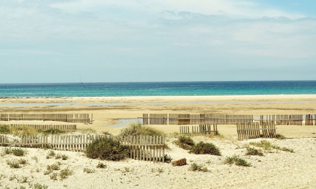 Nieuwbouw Woningen - Apartment - La Manga