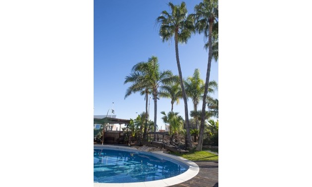 Nouvelle construction - Villa - San Pedro del Pinatar