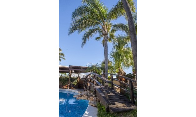 Nouvelle construction - Villa - San Pedro del Pinatar