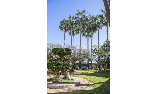 Nouvelle construction - Villa - San Pedro del Pinatar